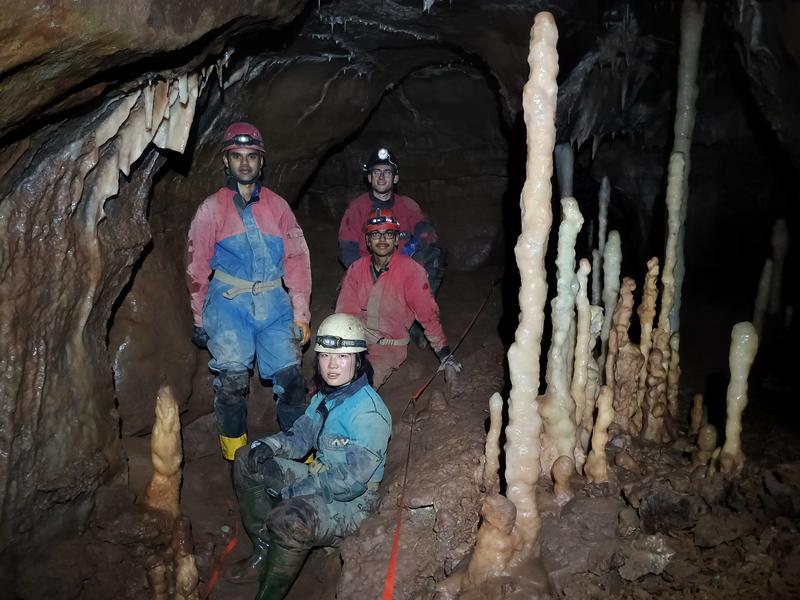 Thumbnail of photo from this article